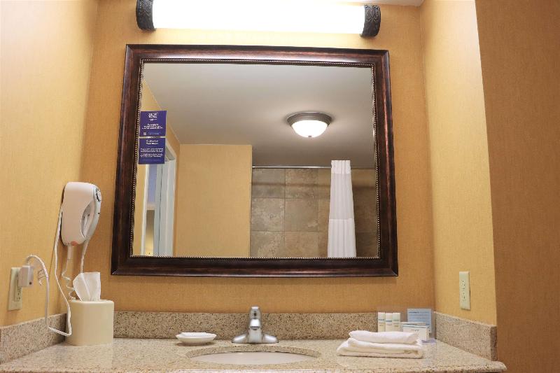 스탠다드 룸 킹사이즈 침대, Hampton Inn & Suites Thibodaux