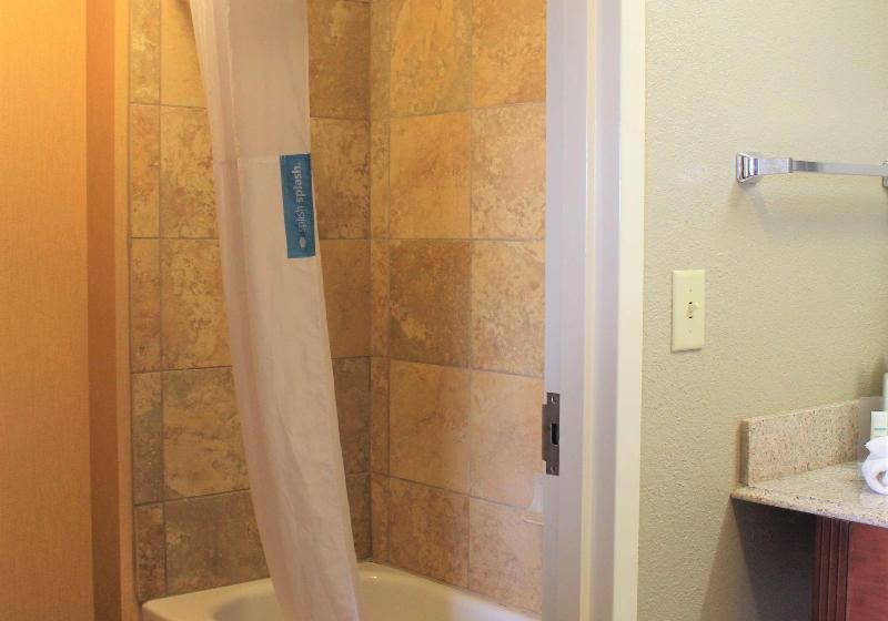 스탠다드 스튜디오 킹침대, Hampton Inn & Suites Thibodaux