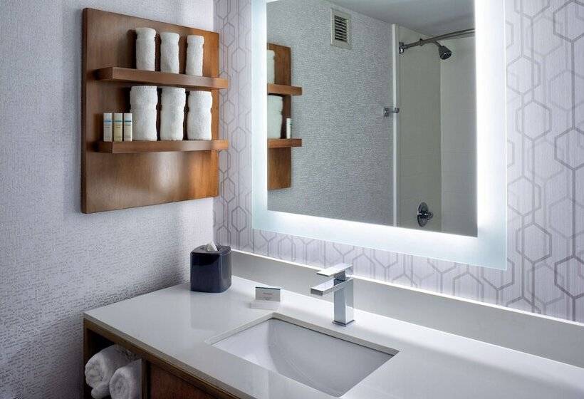 اتاق استاندارد, Hilton Garden Inn Detroit Downtown