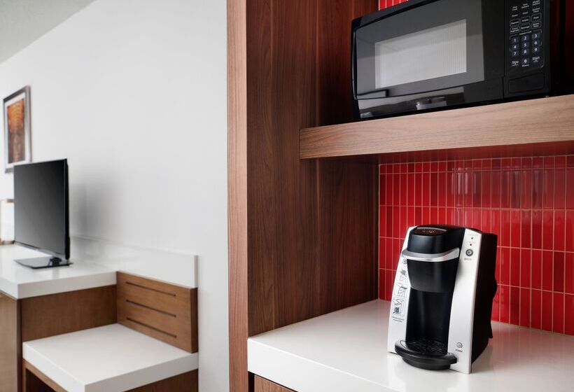 غرفة قياسية سرير كينج, Hilton Garden Inn Detroit Downtown