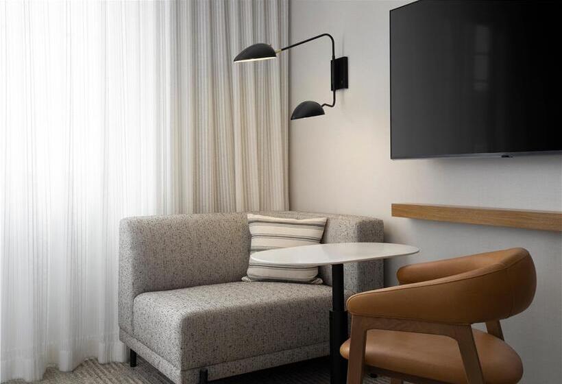 اتاق استاندارد, Hilton Garden Inn Detroit Downtown
