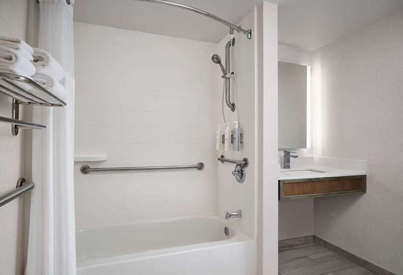اتاق استاندارد, Hilton Garden Inn Detroit Downtown
