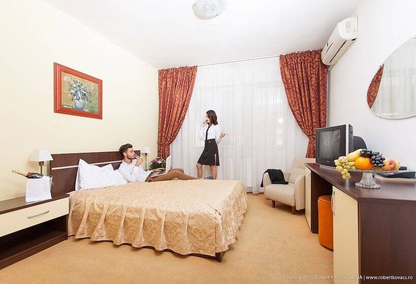 اتاق استاندارد, Krone Hotel Bistrita