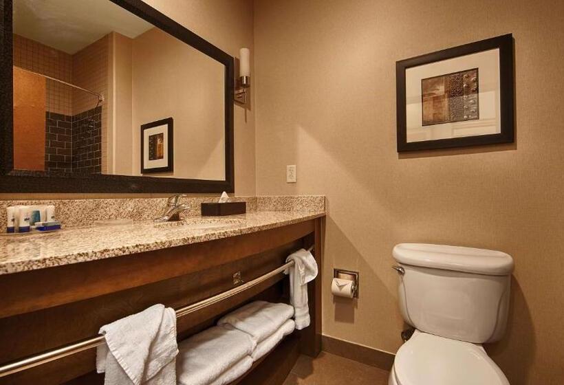 חדר סטנדרט, Best Western Plus Lackland Hotel And Suites