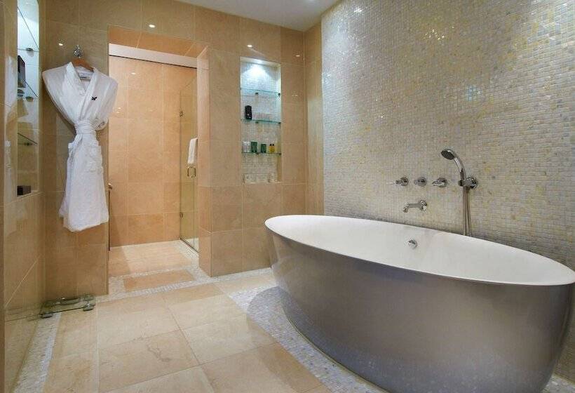 سوئیت جونیور با تخت بزرگ, Hilton London Syon Park