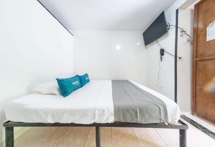 اتاق اکونومی, Ayenda Danilo