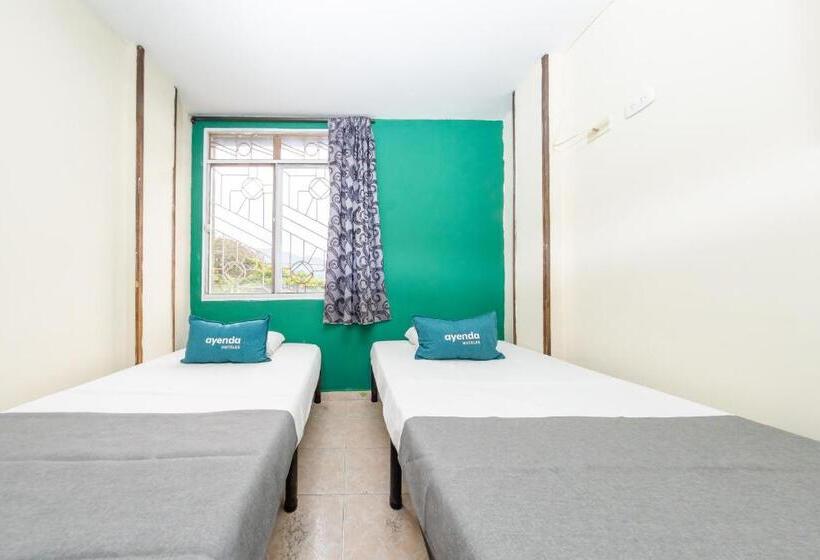 اتاق استاندارد, Ayenda Danilo