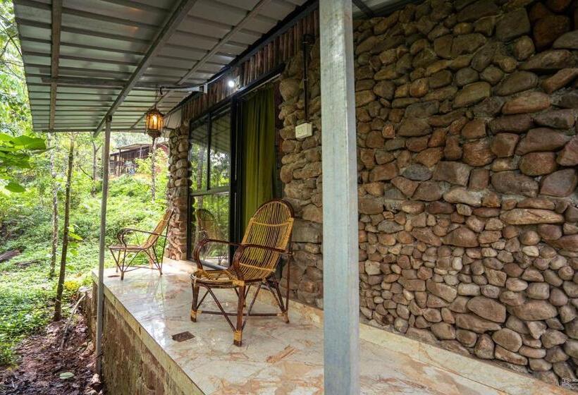 Номер Стандарт, Holistic Stay Eco Resort & Ayurvedic Retreat