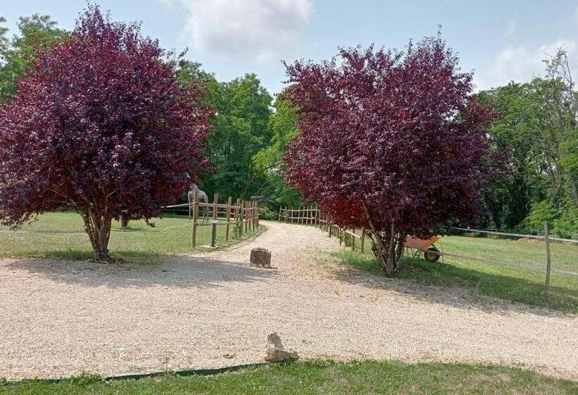 Номер Стандарт, La Fontaine De La Chapinière Cw
