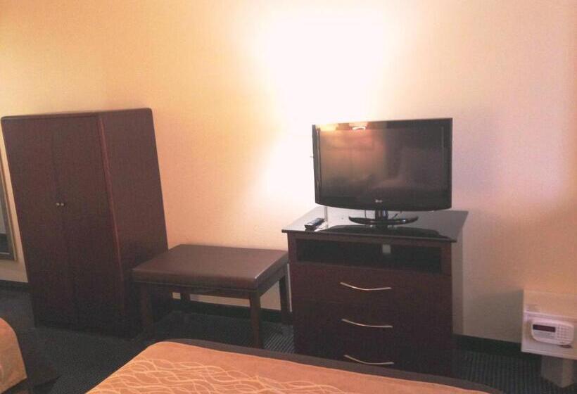 带大床的标准间, Comfort Inn & Suites Ft.jackson Maingate