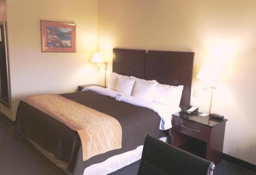 带大床的标准间, Comfort Inn & Suites Ft.jackson Maingate