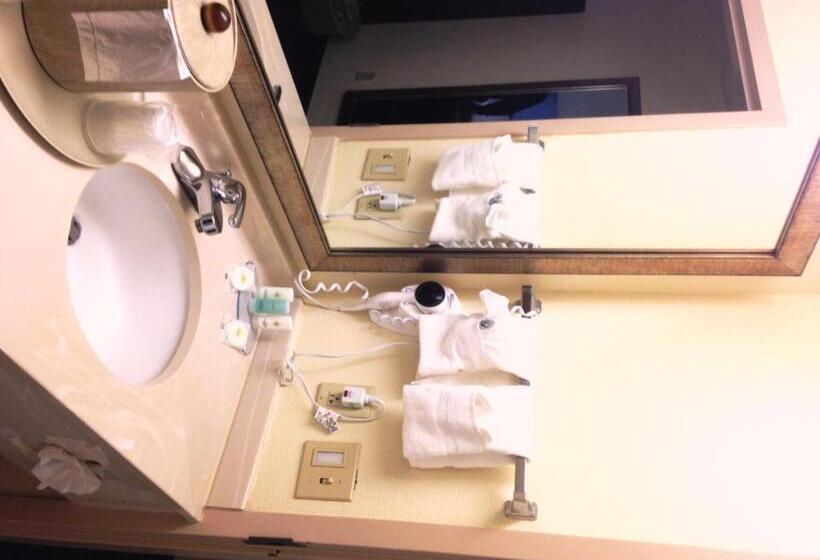 套房, Comfort Inn & Suites Ft.jackson Maingate