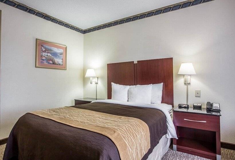 套房, Comfort Inn & Suites Ft.jackson Maingate