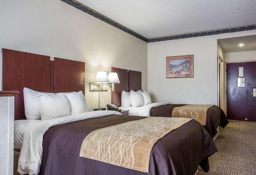 套房, Comfort Inn & Suites Ft.jackson Maingate