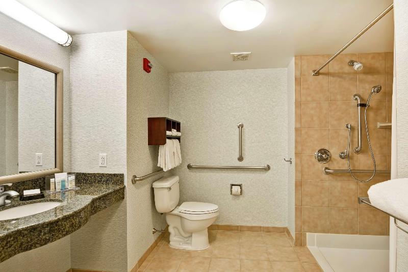 장애인을 위한 킹사이즈 침대 스탠다드 룸, Hampton Inn & Suites Wilkes Barre/scranton