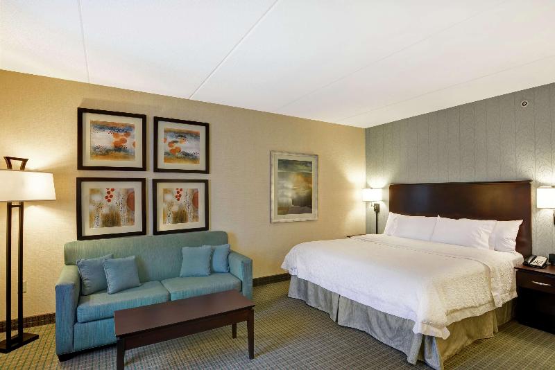 스탠다드 룸 킹사이즈 침대, Hampton Inn & Suites Wilkes Barre/scranton