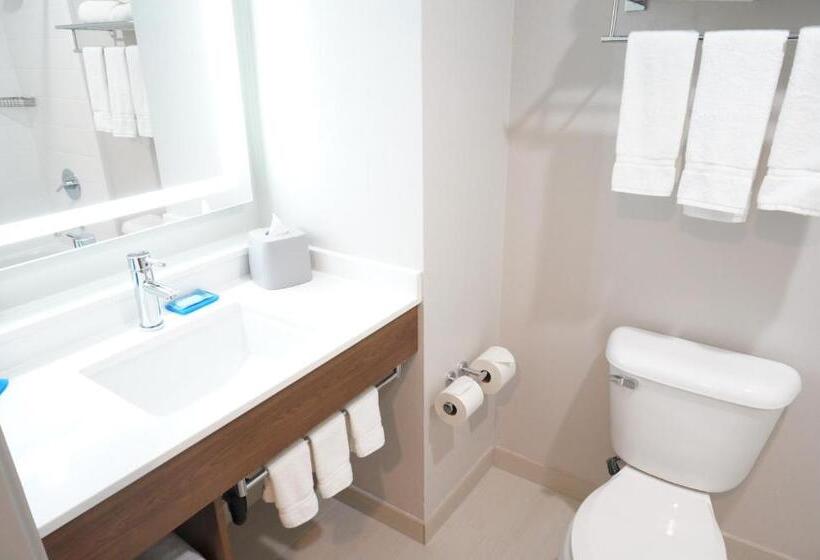 Executive-huone, Holiday Inn Express Fremont   Milpitas Central, An Ihg