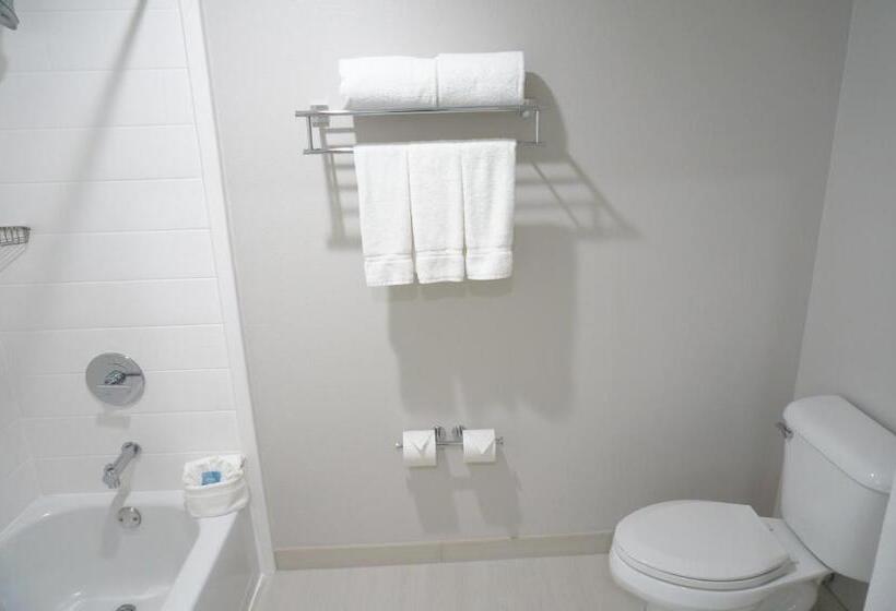 Standard-huone King-vuode, Holiday Inn Express Fremont   Milpitas Central, An Ihg