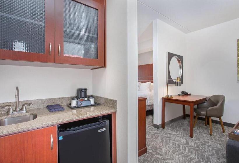 标准工作室, Springhill Suites Pigeon Forge