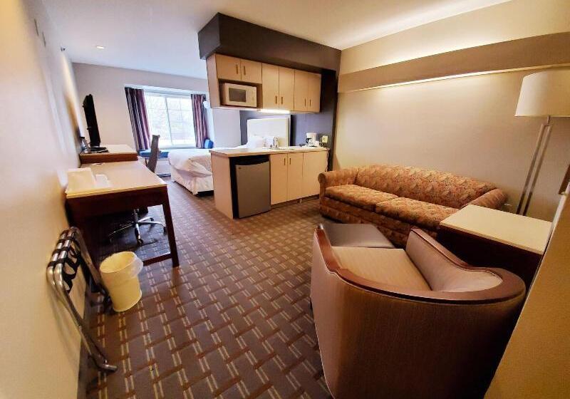 带大床的标准工作室, Springhill Suites Pigeon Forge