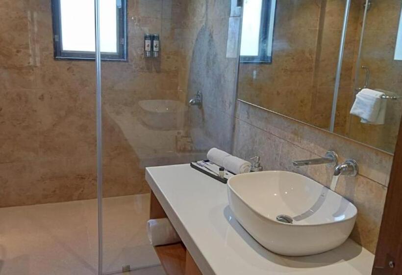 プレミアムルーム, Sarovar Portico Somnath