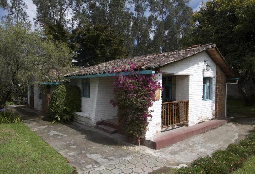Номер Стандарт Индивидуальный, Las Palmeras Inn