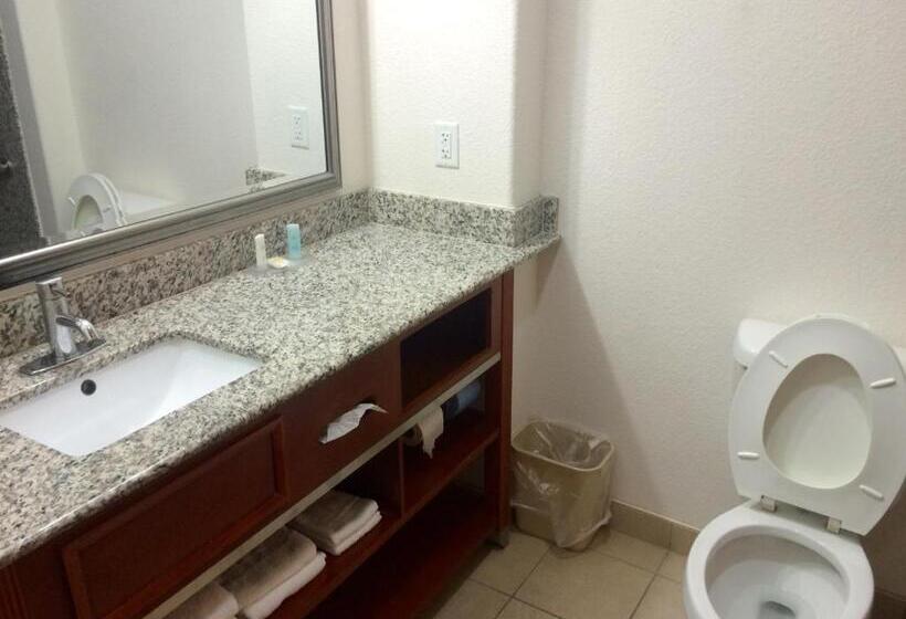 Номер Стандарт, Comfort Inn & Suites Chesapeake  Portsmouth