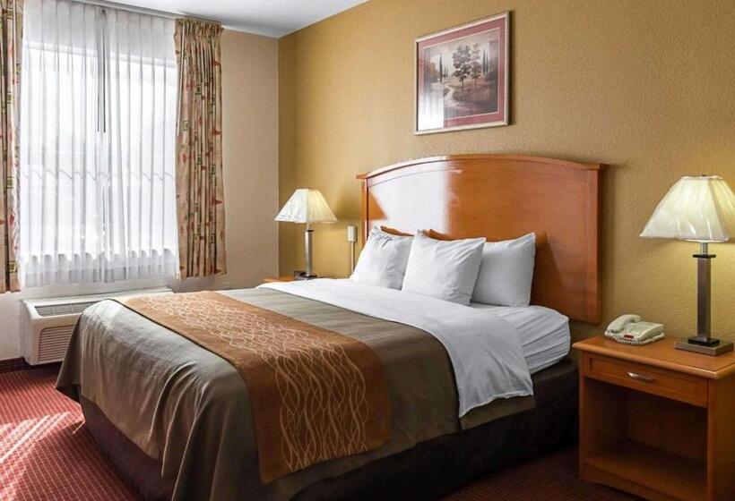 Люкс Кровать Кинг, Comfort Inn & Suites Chesapeake  Portsmouth