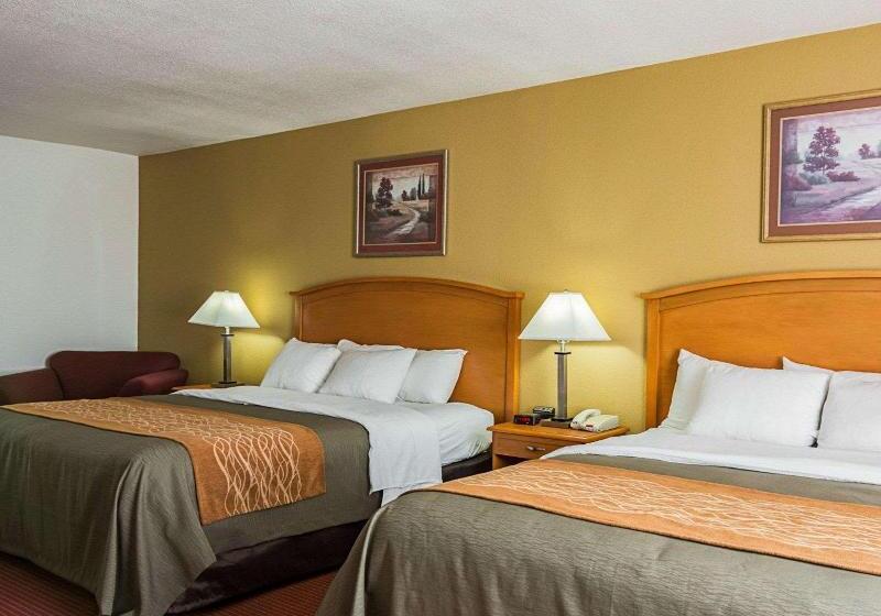 Стандартный Номер Кровать Кинг, Comfort Inn & Suites Chesapeake  Portsmouth