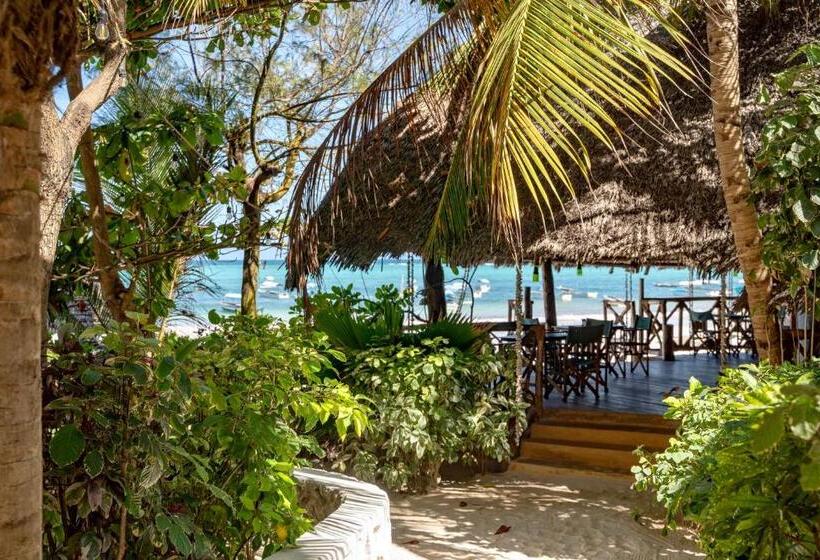 Бунгало Стандарт, Hebe Bungalows Lodge