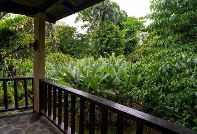 带大床的标准间, Heliconia Island