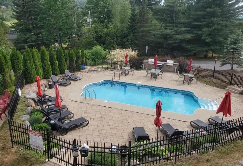 Апартаменты 1 Спальня с Видом, Le Champlain Condo Hôtel