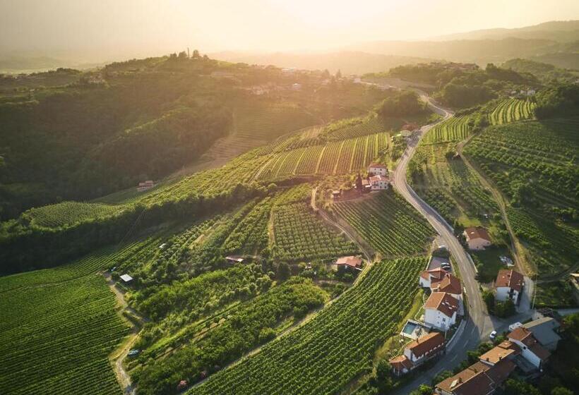 اتاق استاندارد با تراس, Peterc Vineyard Estate