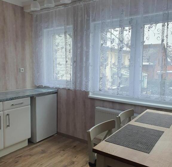 آپارتمان 1 خوابه, Schneider Apartaments