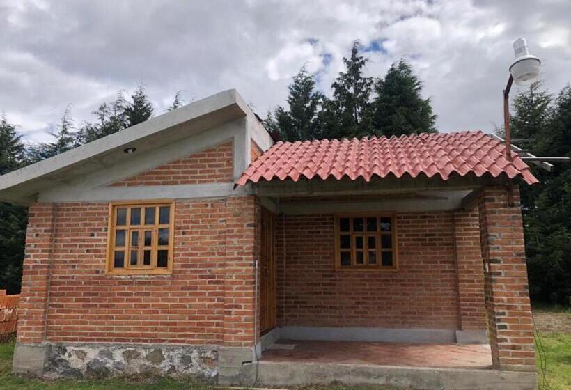 ３ベッドルームハウス, Cabañas Tlaxco La Loma