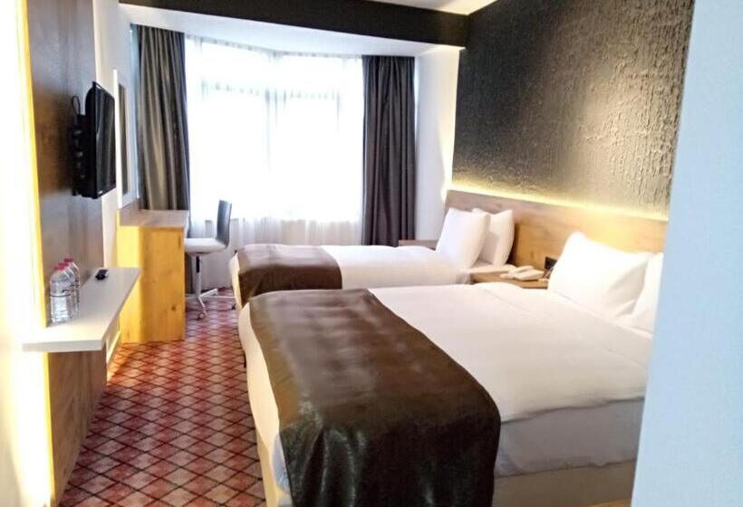 스탠다드 룸, Eskoppremium Otel