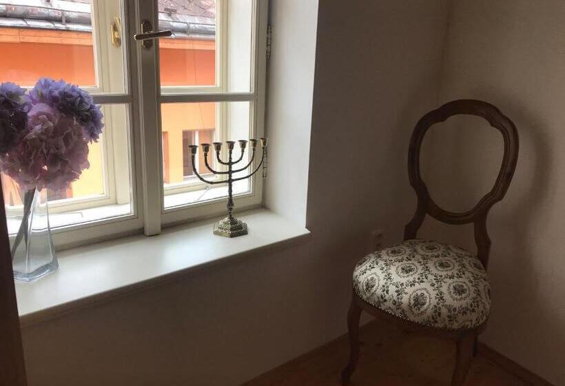 Номер Стандарт Индивидуальный, Penzion U Synagogy