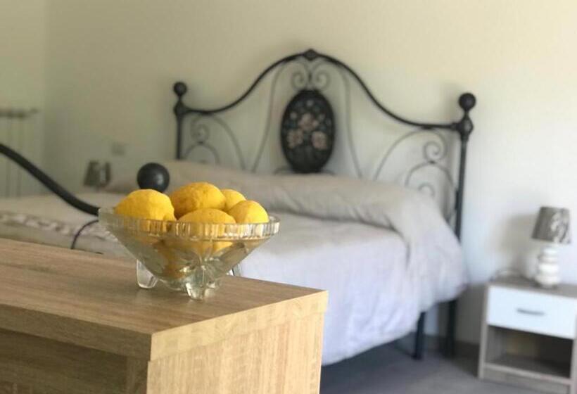 اتاق اکونومی, B&b 40 Steps