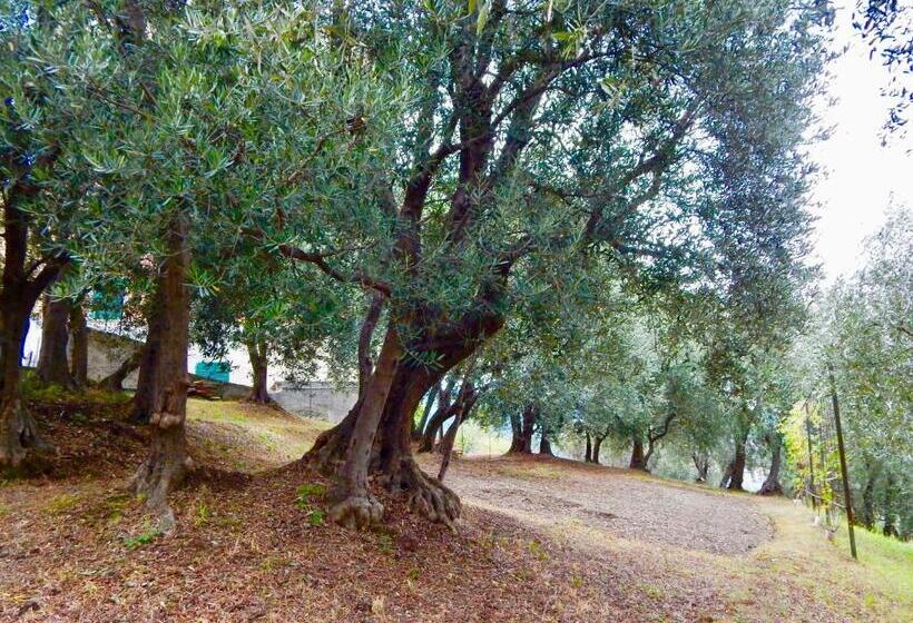 اتاق استاندارد با تخت بزرگ, Le Giüe