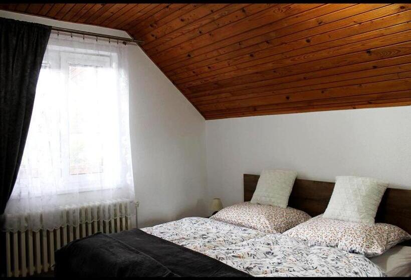 Апартаменты 1 Спальня, Villa Brigit