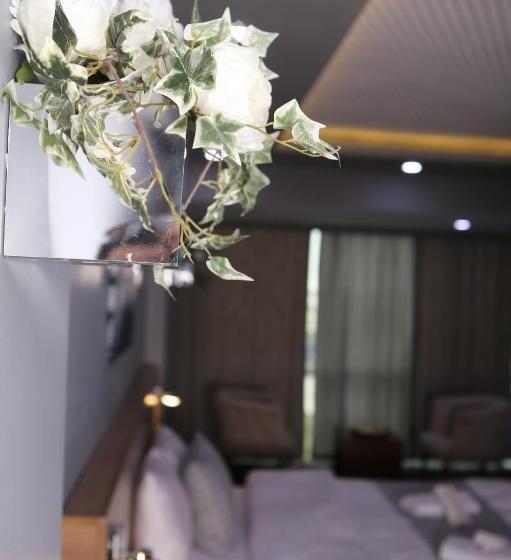 اتاق لوکس, Lily Airport Otel