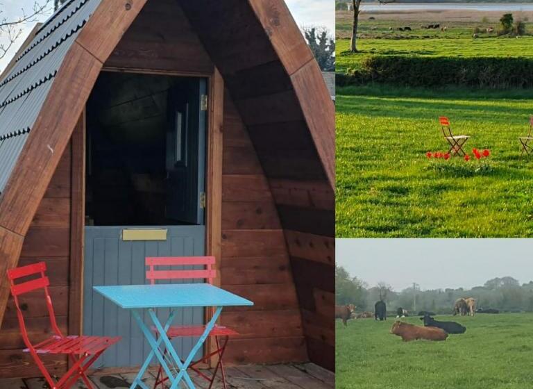 스탠다드 룸 호수 전망, Glasson Glamping Farm