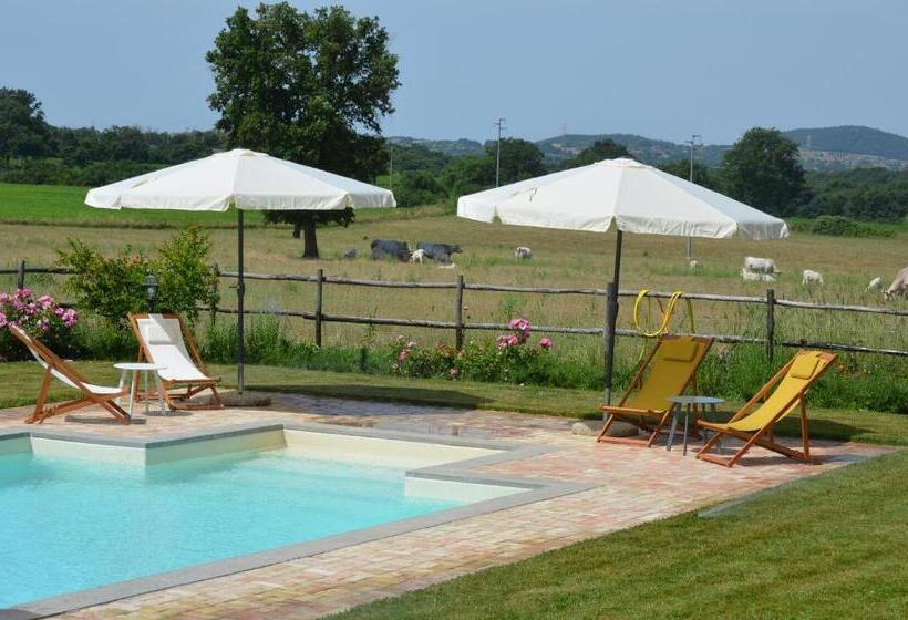 Апартаменты Deluxe 1 Спальня, Agriturismo La Ghiga