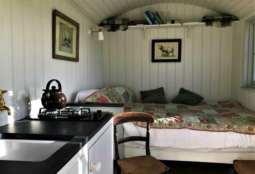 Номер Стандарт, Barnham Court Farm
