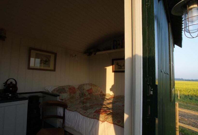 Номер Стандарт, Barnham Court Farm