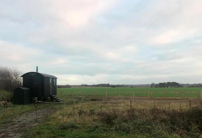Номер Стандарт, Barnham Court Farm