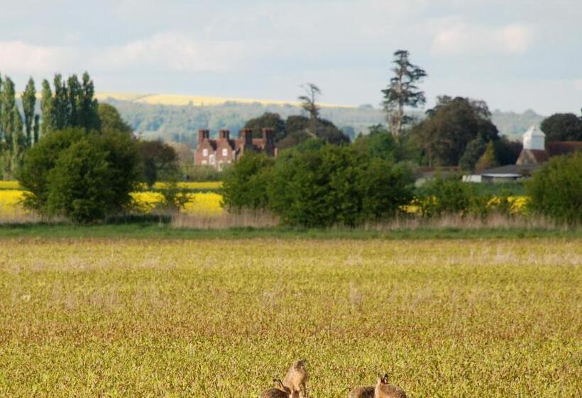 デラックスルーム, Barnham Court Farm