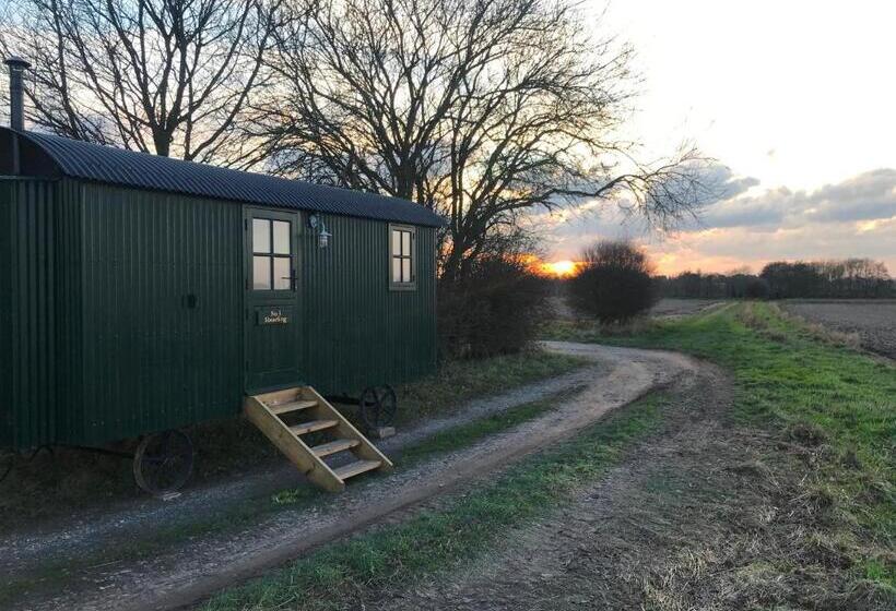 Номер Стандарт, Barnham Court Farm