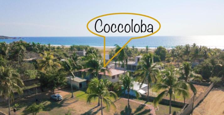 标准间带阳台, Coccoloba Guest House