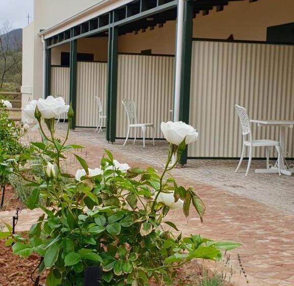 Номер Стандарт, Asher Stable Stay